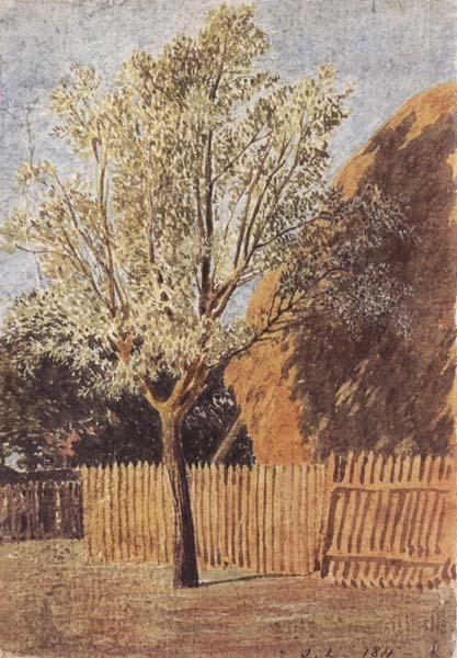 John linnell Study of a Tree